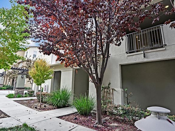 2nd image of 642 Elderberry Dr