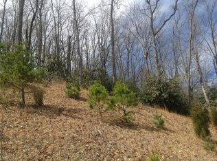 630 Stonefly Dr, Horse Shoe, NC 28742