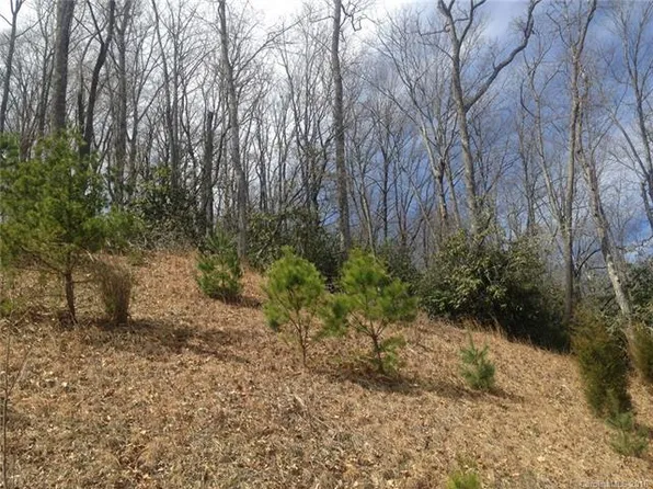 630 Stonefly Dr, Horse Shoe, NC 28742