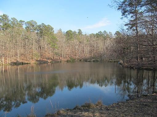 4th image of 2438 County Road 3990