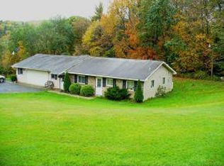 249 Allen Rd, Pt Crane, NY 13833