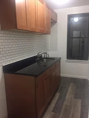 Rented by Manhattan Flats | media 15