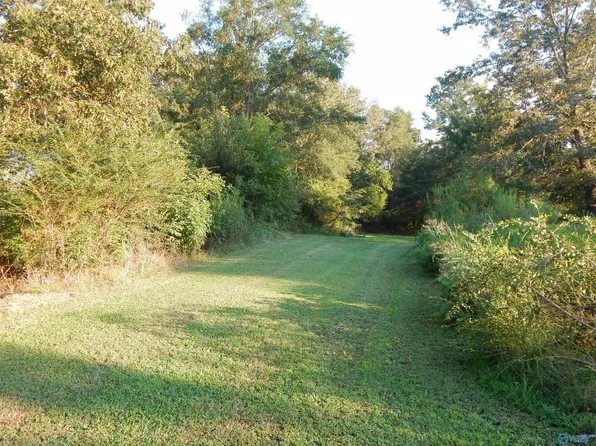 10 Acres Hwy E #55, Falkville, AL 35622