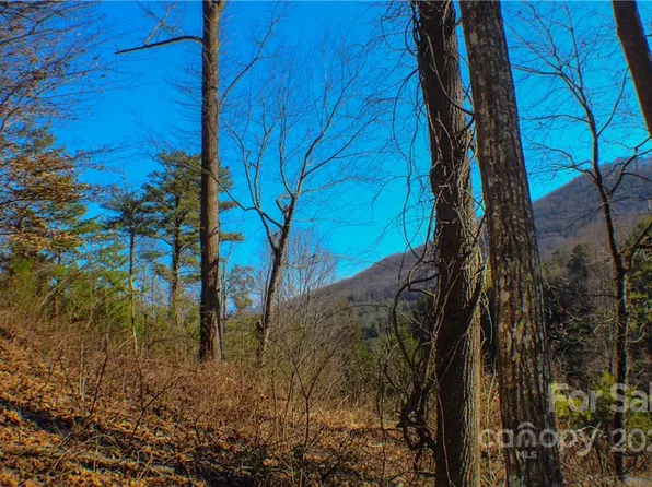 70 Mountain Magnolia Dr Lot 50, Leicester, NC 28748