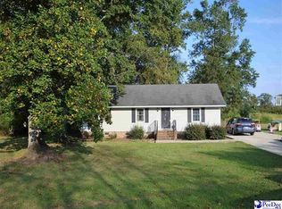 313 Thomas St, Olanta, SC 29114