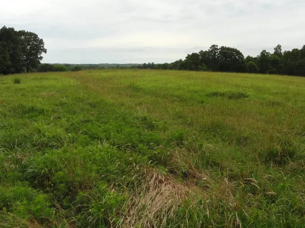 386 Reedville Rd, Saint Joe, AR 72675