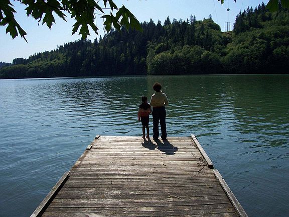Community dock on Lake Mayfield