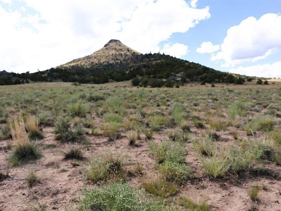 5th image of 1270 Pronghorn Trail