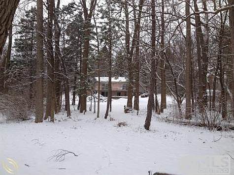 mls2.view from road.JPG