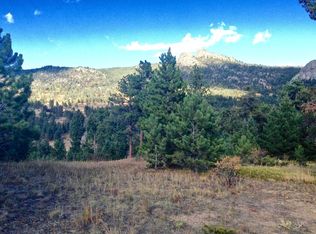 1893 County Road 68, Nederland, CO 80466