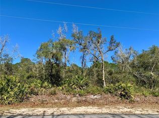 17 Vitex Ave, Eustis, FL 32736