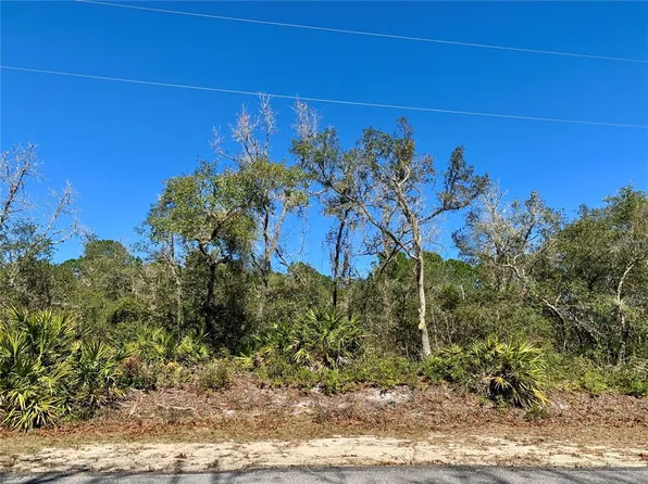 17 Vitex Ave, Eustis, FL 32736