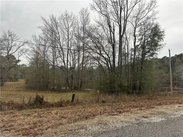 0 Lee Road 187, Opelika, AL 36804