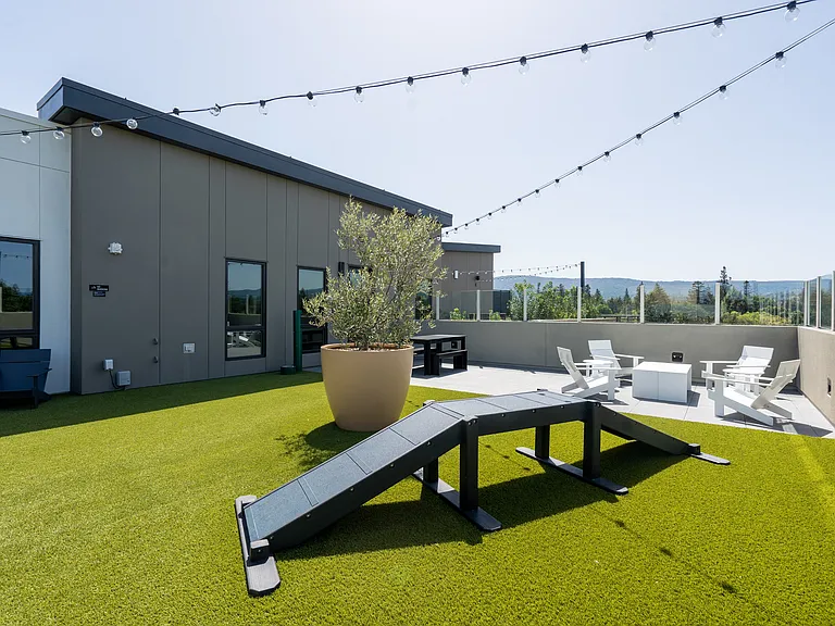 MV Apartments — Photo 24