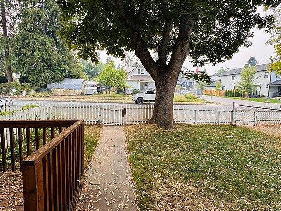 Large Tree on Quiet Street South of Sherman