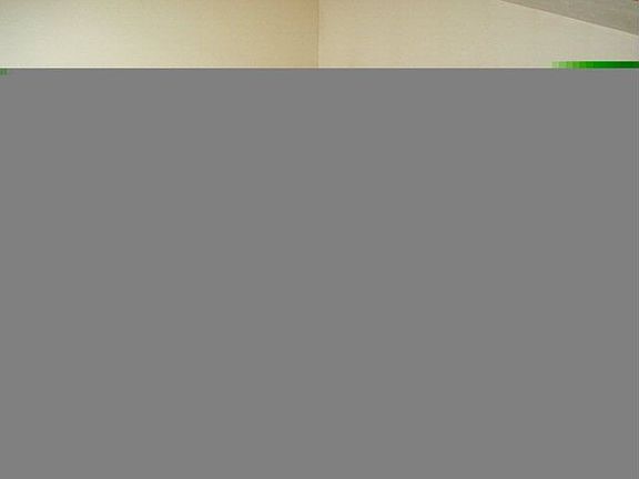 4th image of 171 Duff Ln
