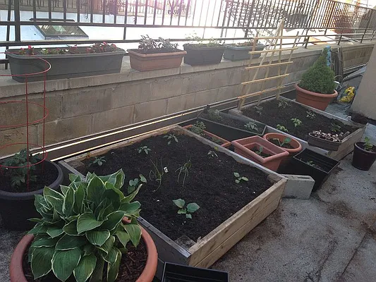 Rented by Brooklyn Bridge | media 16