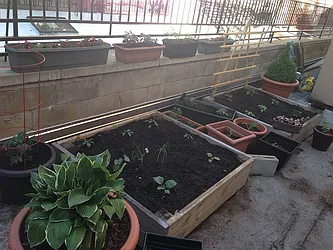 Rented by Brooklyn Bridge