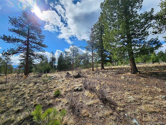 5th image of 30634 Timberline