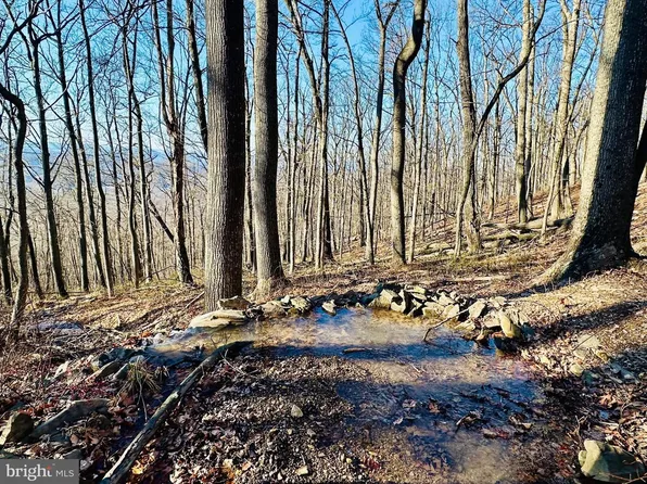 13 Sec #8, Slanesville, WV 25444