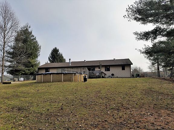 view from back of yard