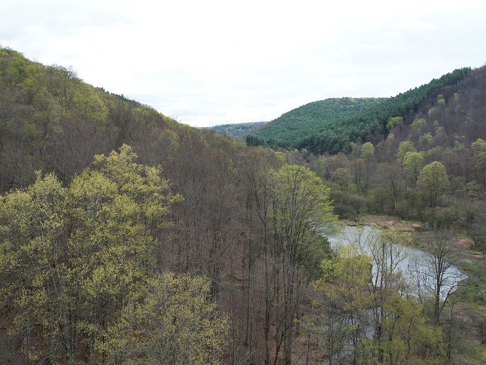 0 Jones Run Rd, Austin, PA 16720 Zillow