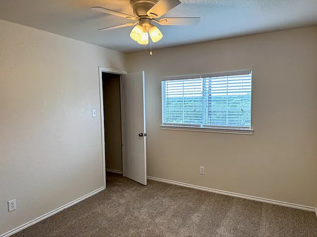 4323 Palm Point — Photo 14