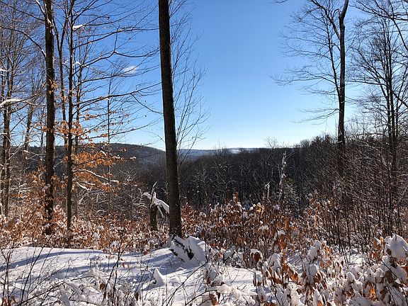5th image of 0 Goss Hill Rd