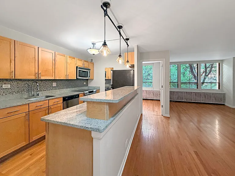 222 E Pearson St #404 — Photo 5