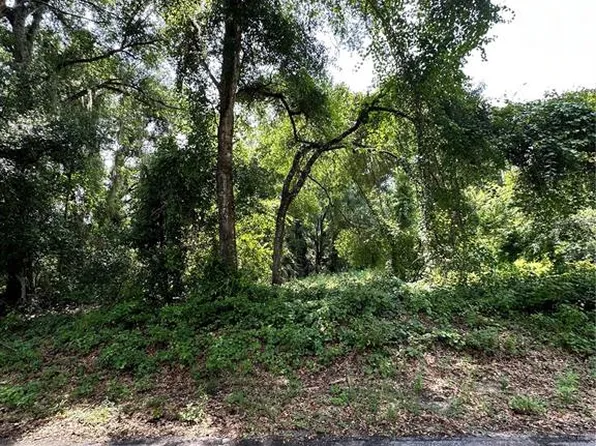 SE 162nd Ter Lot 20, Ocklawaha, FL 32179