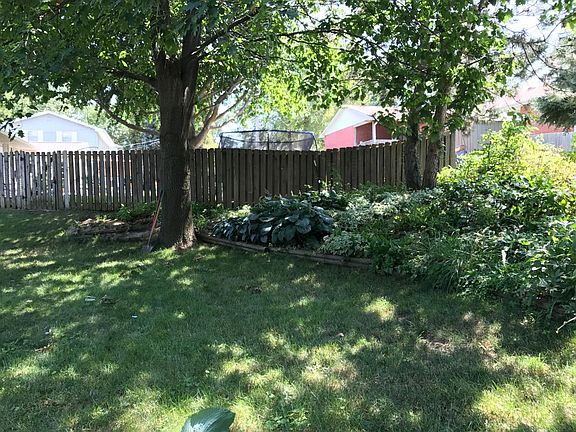 back yard