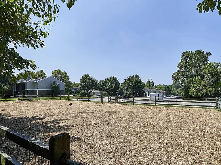 Bark Park