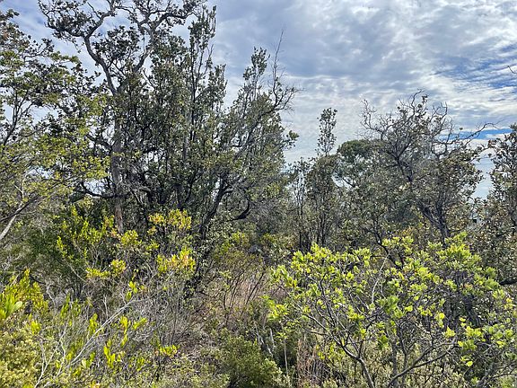 5th image of Hukilau Dr Lot 34