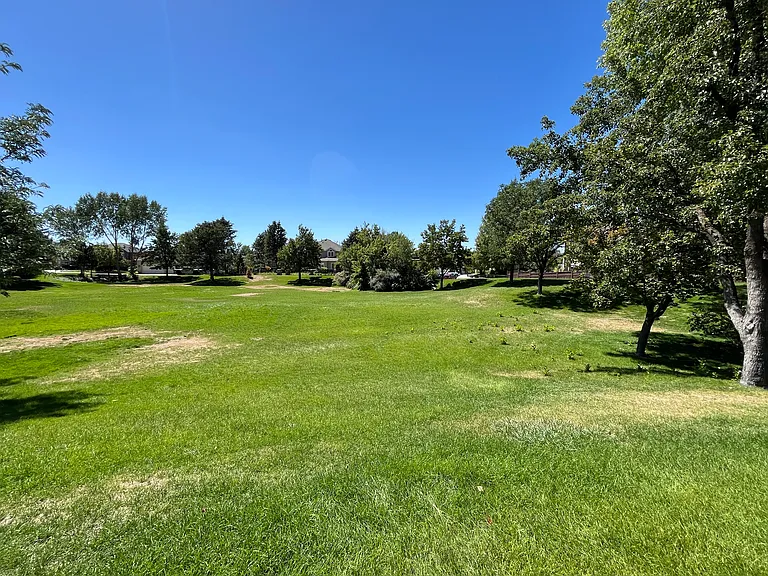 Park across the street