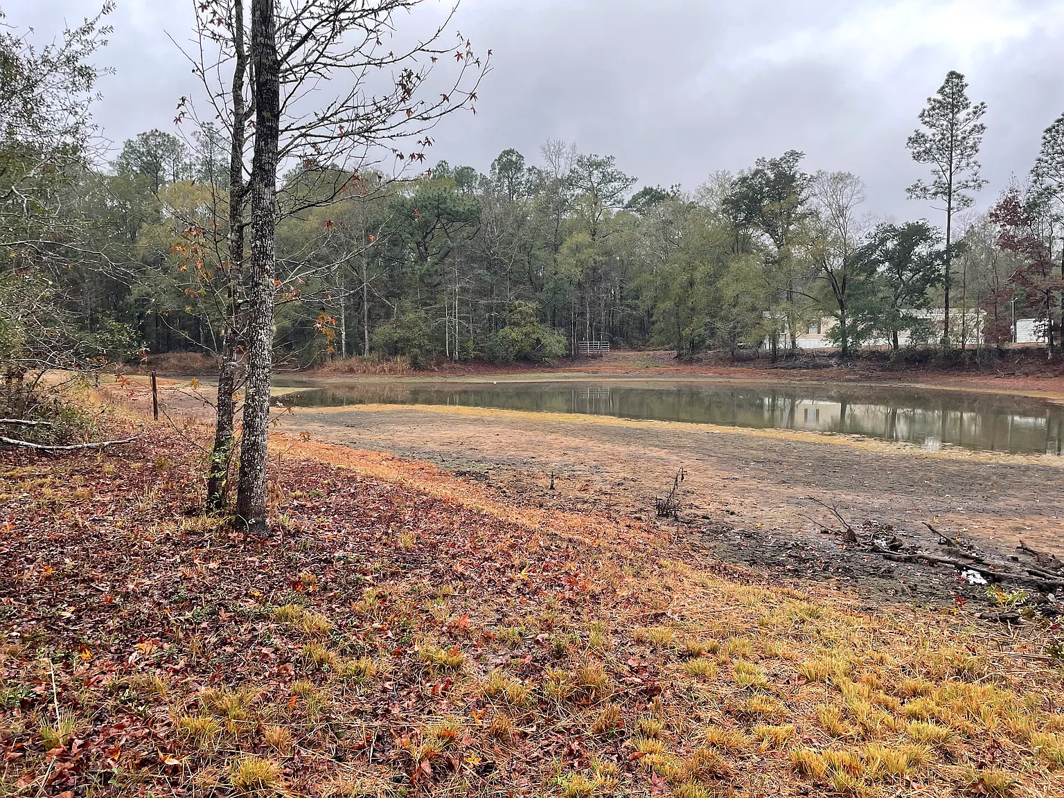 3 bed, 1000 sqft, $1,300 — Photo 4