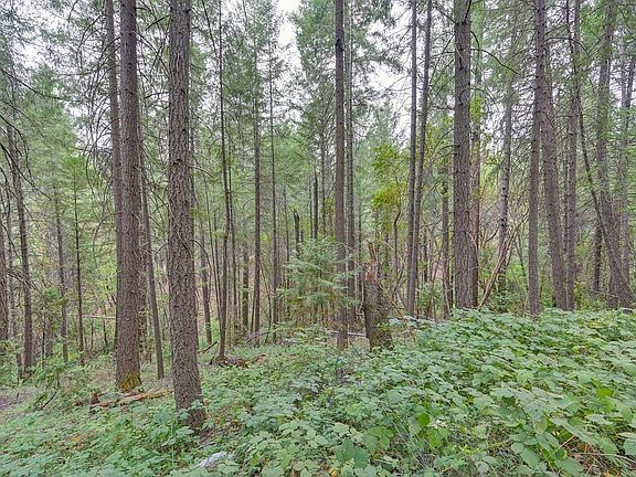 5th image of 3701 Marshall Rd