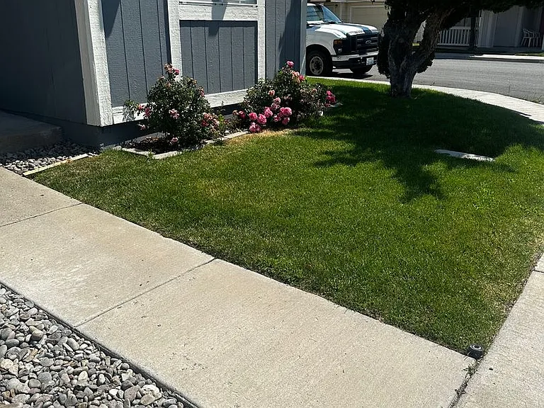 4517 Park Rose Cir — Photo 17
