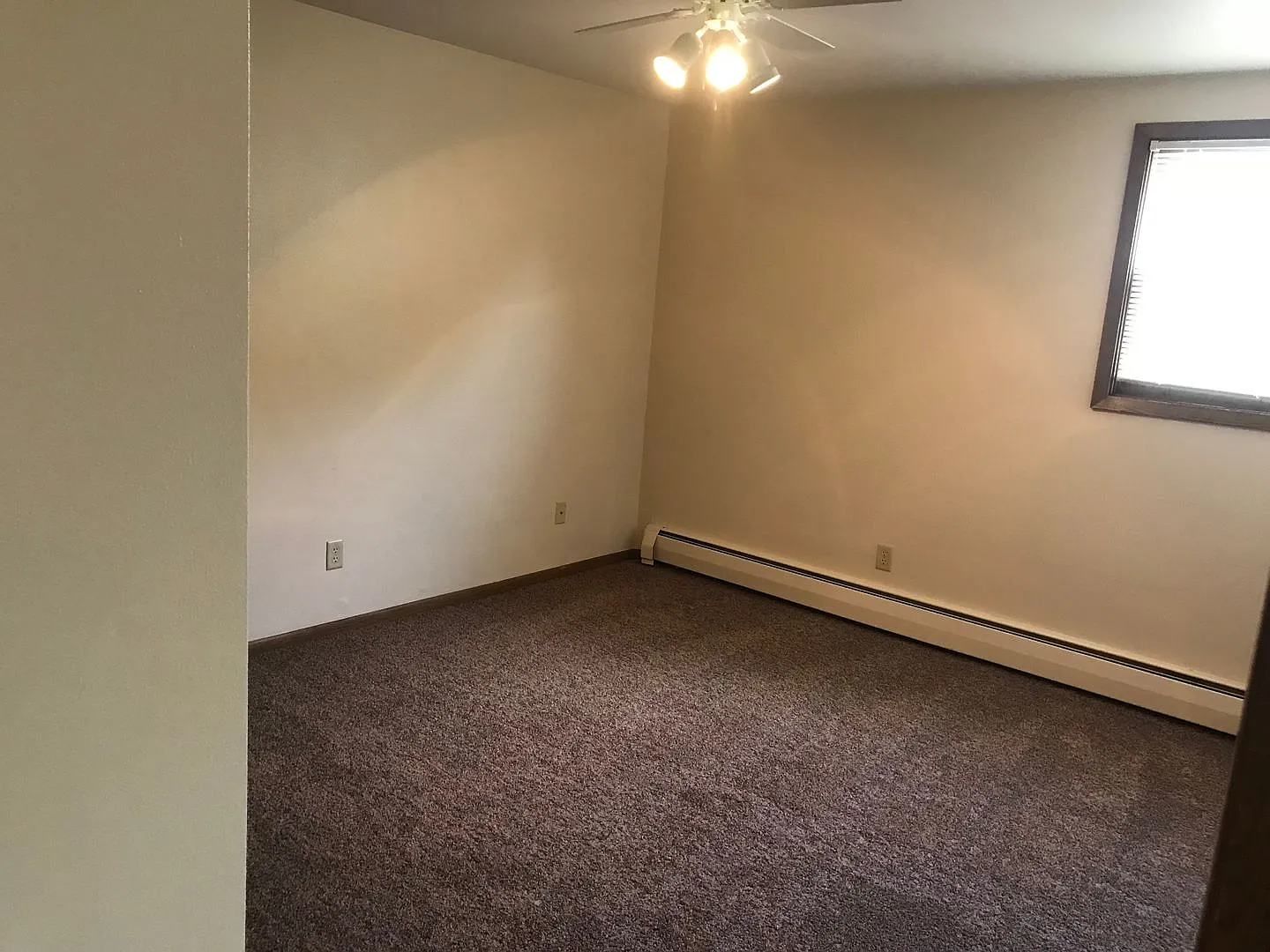 Forestview 1 Bedroom Lower Unit — Photo 3