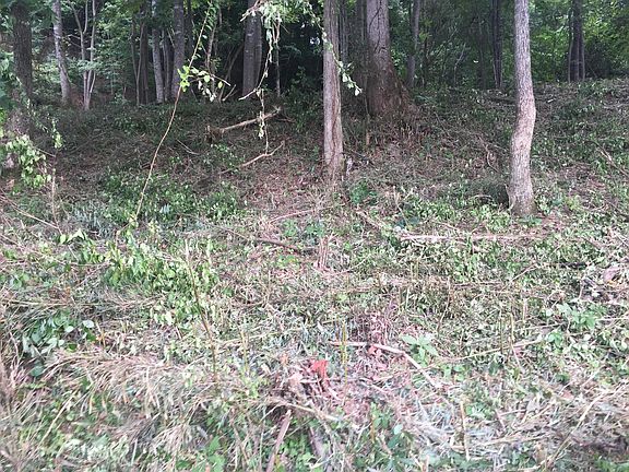 5th image of 0 Sycamore Shoals Dr #8