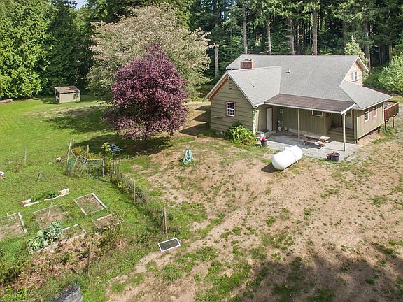 Garden and back patio