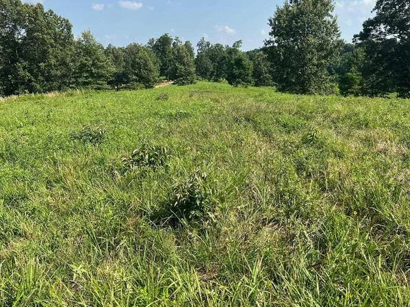 County Road 118 Lots 1 #&-2, Bono, AR 72416