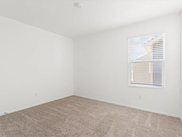 905 Powell St — Photo 30