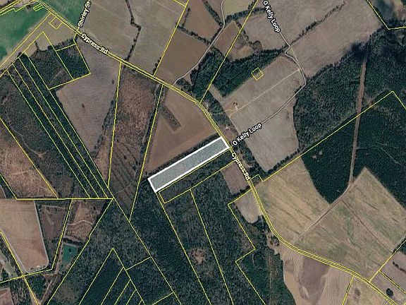 3rd image of Cypress Rd