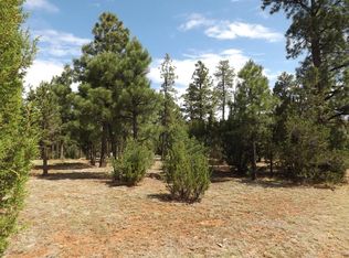 2374 Wildcat Cir, Overgaard, AZ 85933