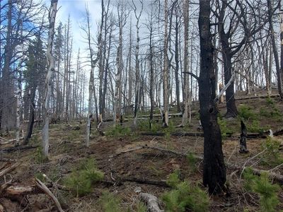 Lot 2738 Newman Place LOT 2738, Fort Garland, CO, 81133