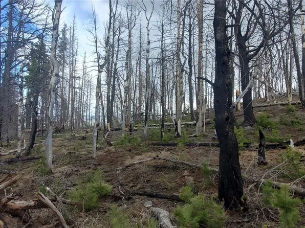 Lot 2738 Newman Place LOT 2738, Fort Garland, CO 81133