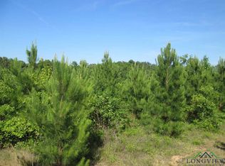 Tbd Fm 726, Diana, TX 75640
