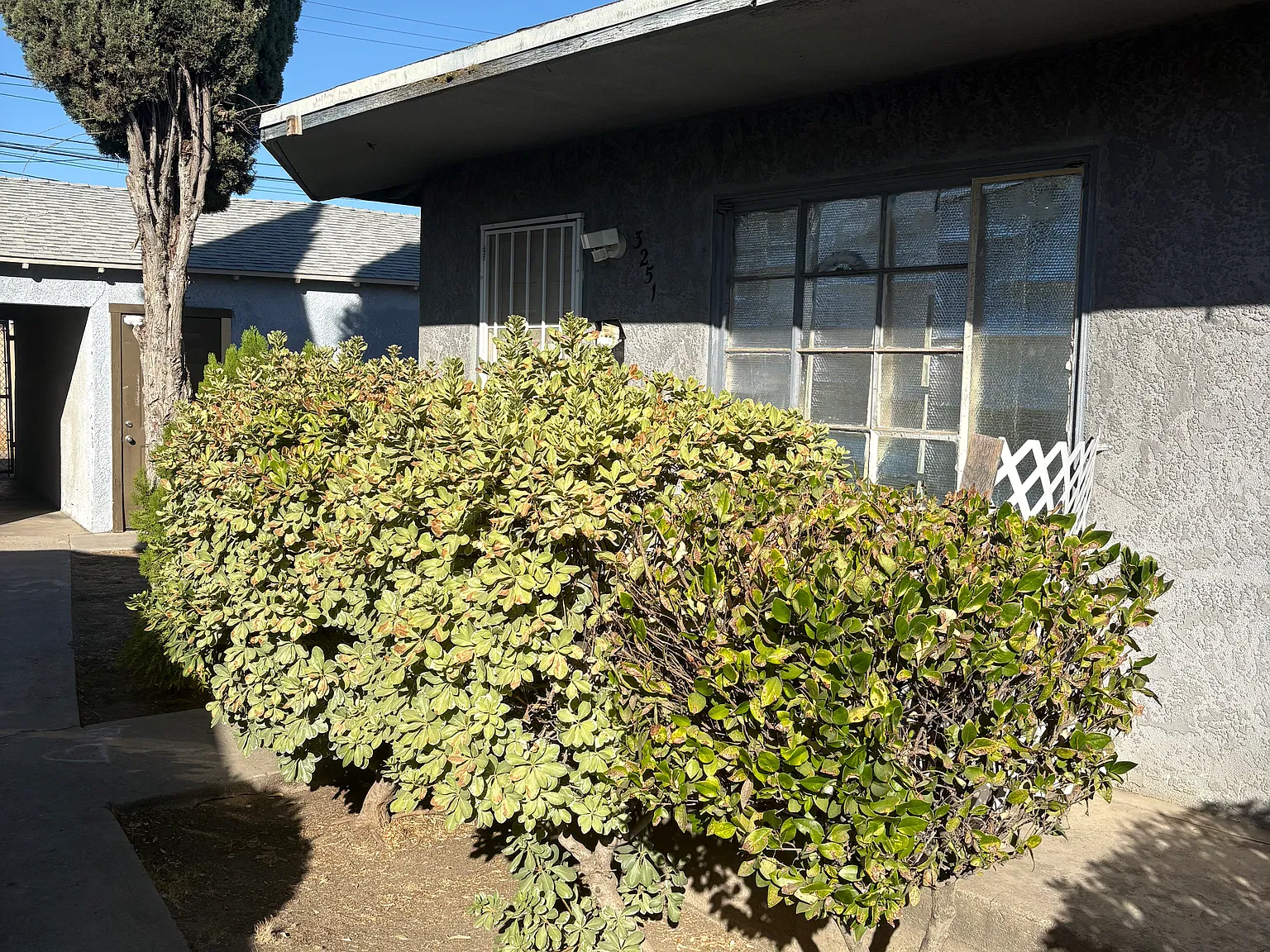 1 bed, 650 sqft, $1,100 — Photo 1