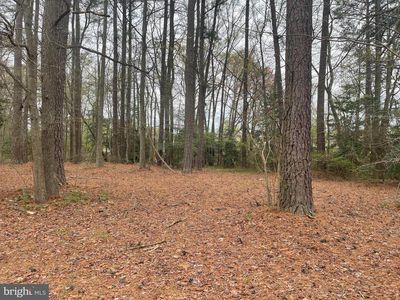 182 Weatherall Dr, Montross, VA, 22520