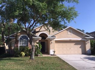 12532 Blazing Star Dr, Tampa, FL 33626